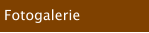 Fotogalerie