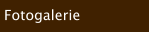 Fotogalerie